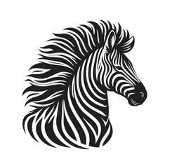 zebra vector illustration