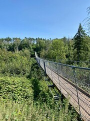 Eine Wanderung von Braunsrode zur Hängeseilbrücke über das Bärental in der Hohen Schrecke