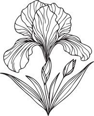 Iris flower black and white vector sketch illustration of floral ornament bouquet of iris simplicity, Embellishment, zentangle design element for card printing coloring pages, detailed flower coloring