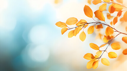 Obraz premium A branch of golden autumn leaves against a blurred blue sky background.