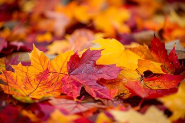 painting of path in the woods, colorful autumn landscape with leaves falling