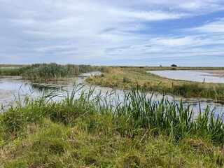 Landscape view of beautiful nature reserve for bird watching wildlife lakes in marsh land by ocean in Cley Next the Sea Norfolk East Anglia uk reeds grass in foreground on Summer day blue cloud skies