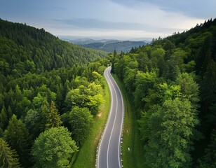 Fototapeta premium Top view from drone of road in woods. Beautiful landscape with roadway in hills