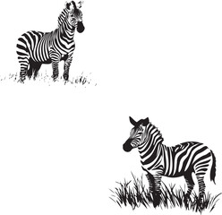 Zebra black silhouette set vector