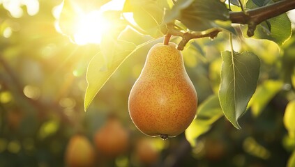 Pear in a Sunny Orchard Close-Up. AI generated illustration