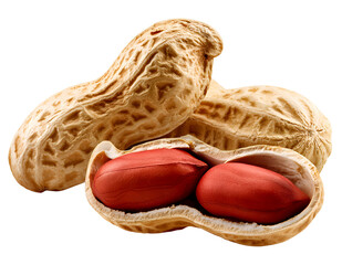 peanut isolated in PNG on a white background