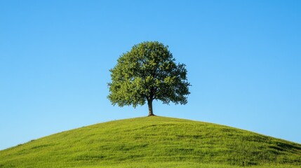 Obraz premium Majestic green tree atop a hill, beneath a clear blue sky, symbolizing strength and tranquility.