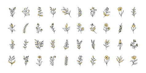 Hand drawn line aesthetic flowers set, vector minimal floral element collection, monochrome, linear flowers, leaves for posters, wall art, cover, decoration. Wedding invitation, wallpaper art brunch.
