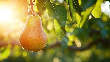 Pear in a Sunny Orchard Close-Up. AI generated illustration