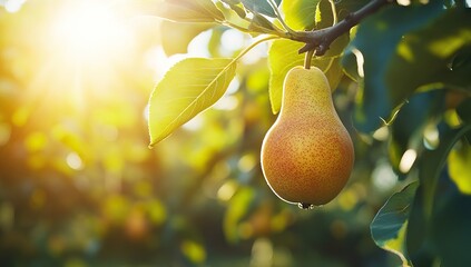 Pear in a Sunny Orchard Close-Up. AI generated illustration