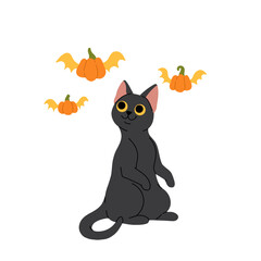Cute black cat standing playing with flying pumpkins. Flat cartoon vector illustration for Halloween