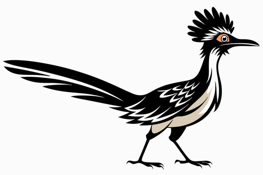 recommend clip art: Greater roadrunner silhouette vector illustration. male roadrunner