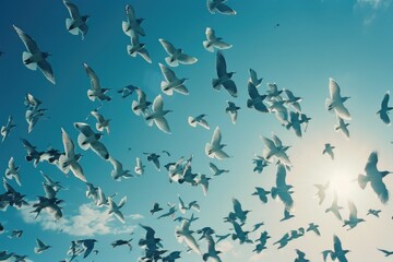 A group of birds soaring through the sky