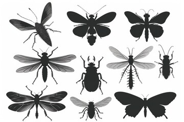 Various species of insects on a background
