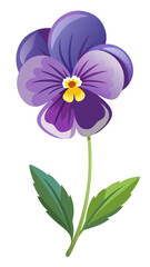 illustration of flower, Pansy flower isolated on white background, Pansy illustration, Pansy flower vector