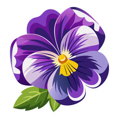 illustration of flower, Pansy flower isolated on white background, Pansy illustration, Pansy flower vector