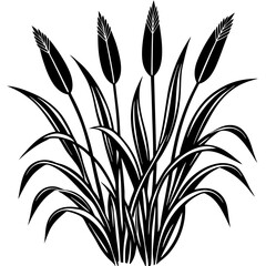 Reed  Art art vector illustration