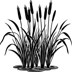 Reed  Art art vector illustration
