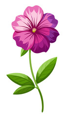 illustration of flower, Petunia flower isolated on white background, Petunia illustration, Petunia flower vector