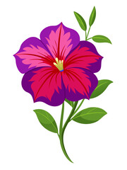 illustration of flower, Petunia flower isolated on white background, Petunia illustration, Petunia flower vector
