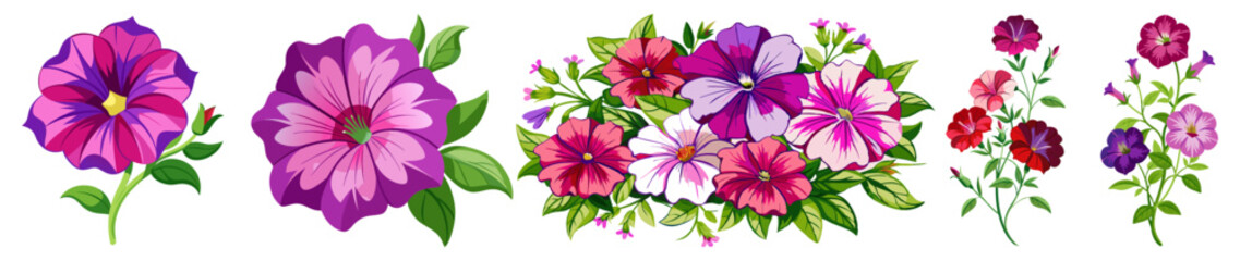Obraz premium illustration of flower, Petunia flower isolated on white background, Petunia illustration, Petunia flower vector