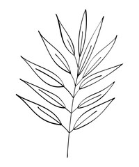 Autumn summer spring twig sprout wild plant with leaves drawn with black line contour for decorative pattern. Flat doodle style. Vector illustration.