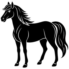 horse illustration