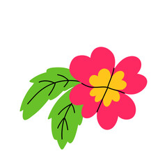 Pink flower with green leaves, showcasing nature's elegance