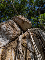 A temple in Sri Lanka