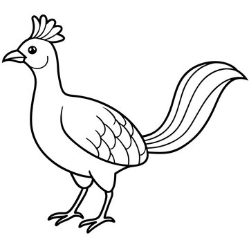 recommend clip art: Lyrebird Line Art Vector Design