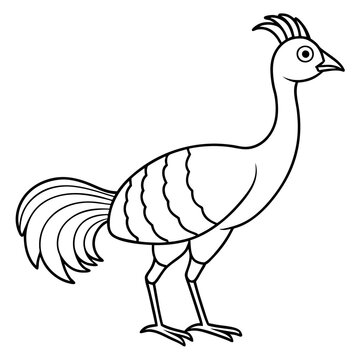 recommend clip art: Lyrebird Line Art Vector Design