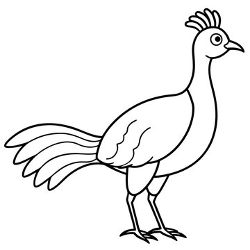 recommend clip art: Lyrebird Line Art Vector Design