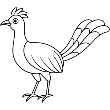 recommend clip art: Lyrebird Line Art Vector Design