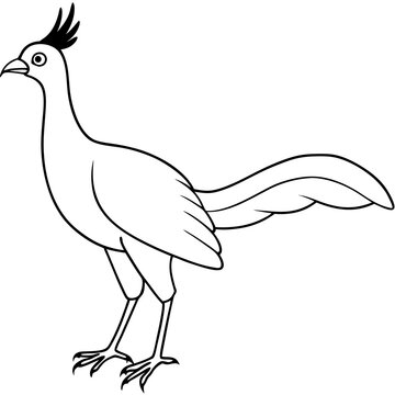 recommend clip art: Lyrebird Line Art Vector Design