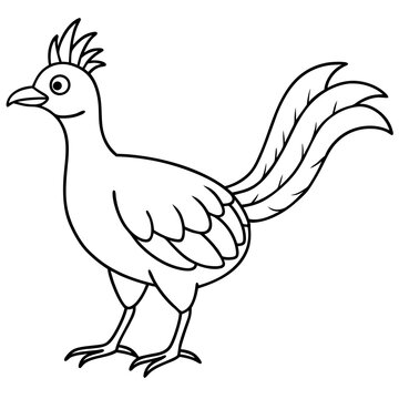 recommend clip art: Lyrebird Line Art Vector Design