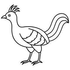 Lyrebird Line Art Vector Design