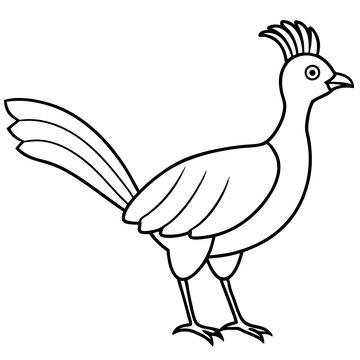 recommend clip art: Lyrebird Line Art Vector Design