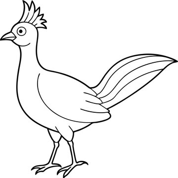 recommend clip art: Lyrebird Line Art Vector Design