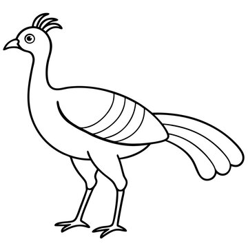 recommend clip art: Lyrebird Line Art Vector Design