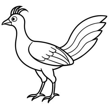 recommend clip art: Lyrebird Line Art Vector Design