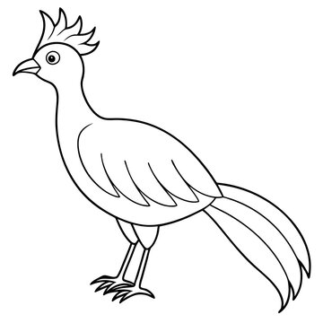 recommend clip art: Lyrebird Line Art Vector Design