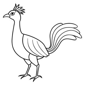 recommend clip art: Lyrebird Line Art Vector Design