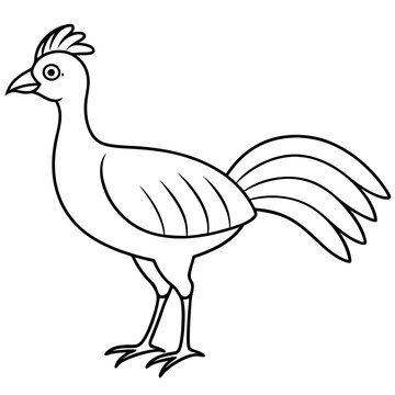 recommend clip art: Lyrebird Line Art Vector Design