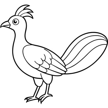 recommend clip art: Lyrebird Line Art Vector Design