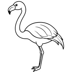 Flamingo Coloring Page for Kids Varied Poses art vector illustration