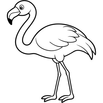 recommend clip art: Flamingo Coloring Page for Kids Varied Poses art vector illustration