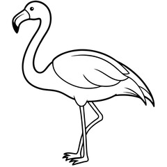 Obraz premium Flamingo Coloring Page for Kids Varied Poses art vector illustration