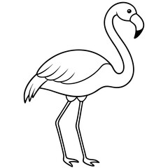 Flamingo Coloring Page for Kids Varied Poses art vector illustration