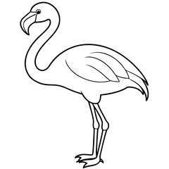Flamingo Coloring Page for Kids Varied Poses art vector illustration