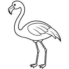 Flamingo Coloring Page for Kids Varied Poses art vector illustration